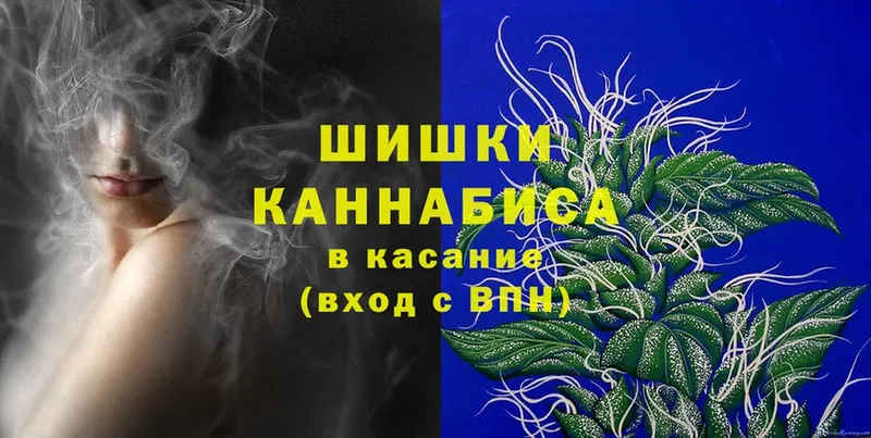 Каннабис OG Kush  Малмыж 